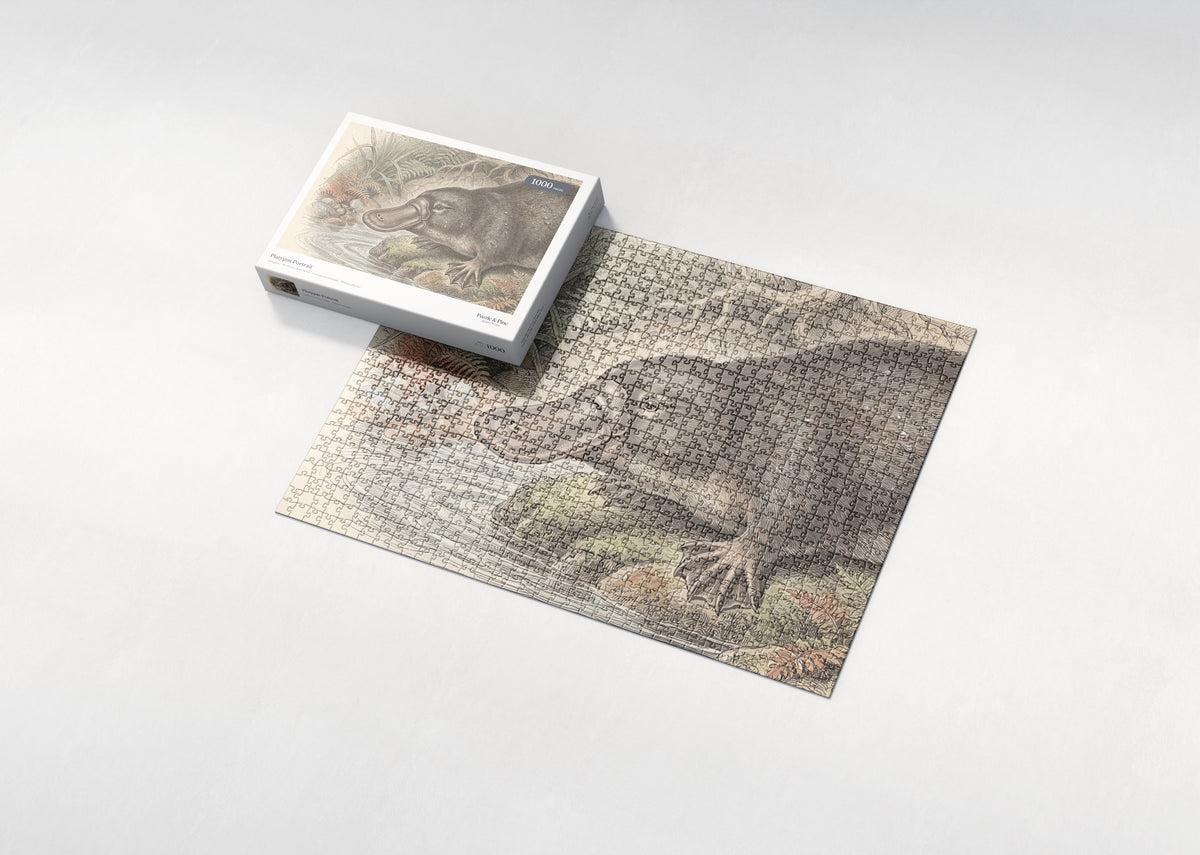 Platypus Portrait jigsaw puzzle - box and puzzle