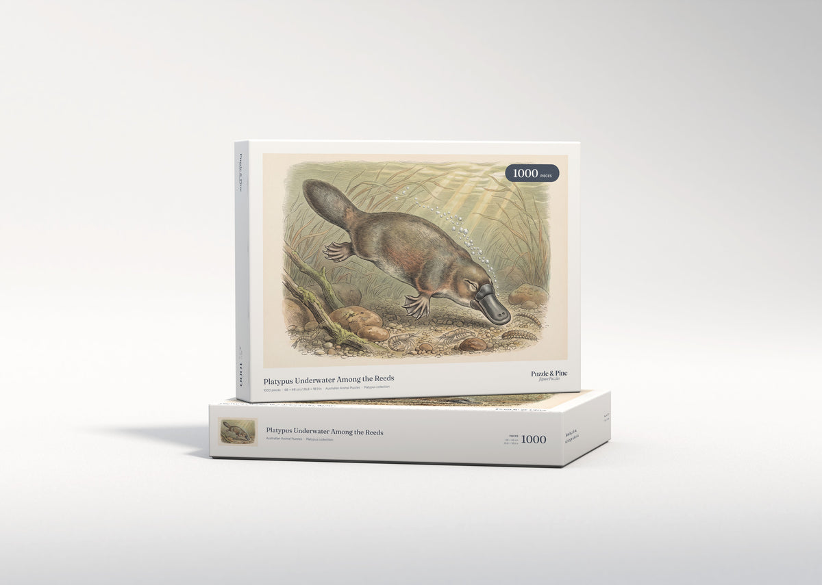 Platypus Underwater Among the Reeds jigsaw puzzle - gift box