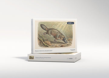 Platypus Underwater Among the Reeds jigsaw puzzle - gift box
