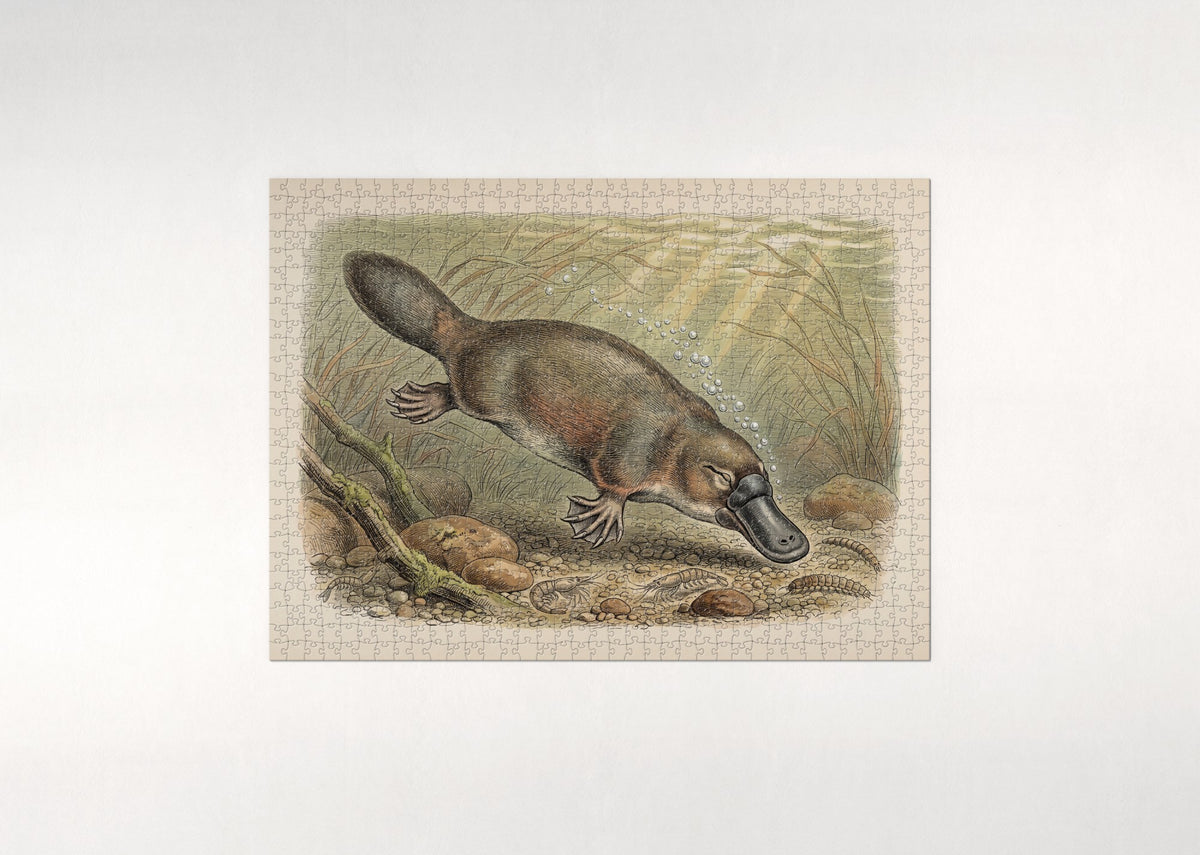Platypus Underwater Among the Reeds jigsaw puzzle - flat puzzle