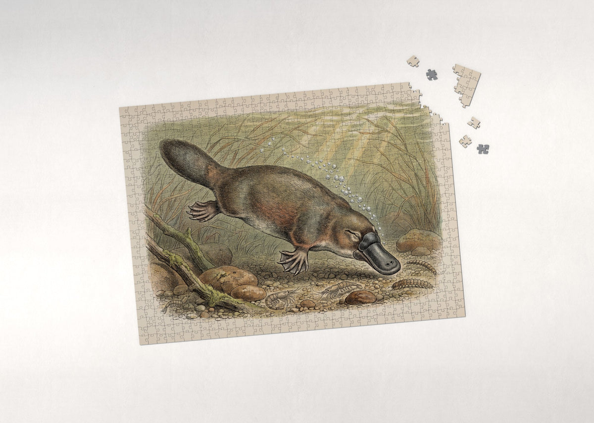 Platypus Underwater Among the Reeds jigsaw puzzle - puzzle with loose pieces
