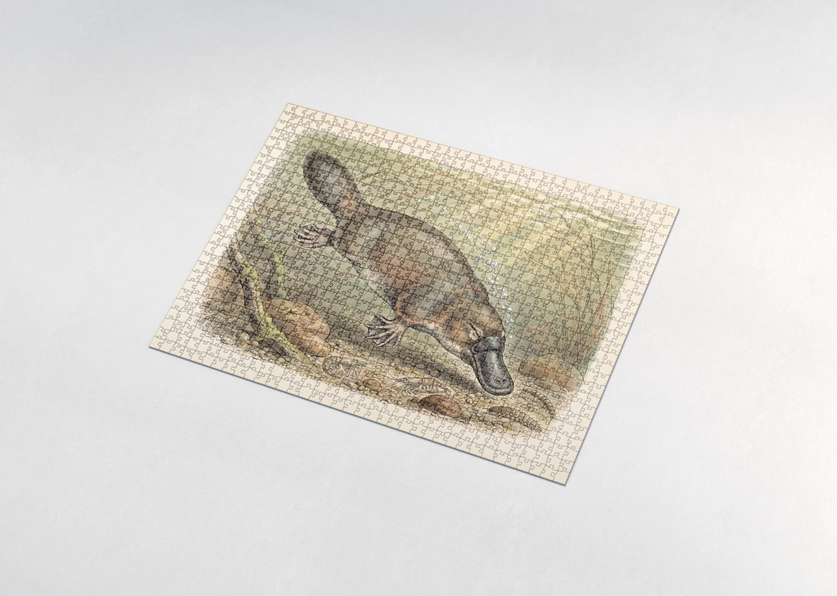 Platypus Underwater Among the Reeds jigsaw puzzle - assembled puzzle