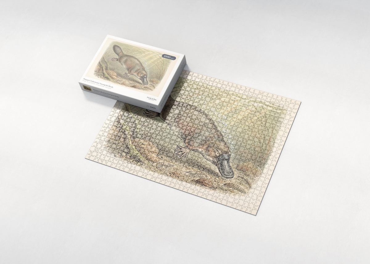 Platypus Underwater Among the Reeds jigsaw puzzle - box and puzzle