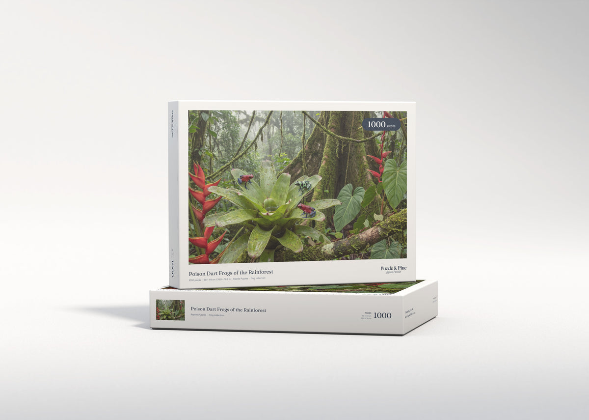 Poison Dart Frogs of the Rainforest jigsaw puzzle - gift box