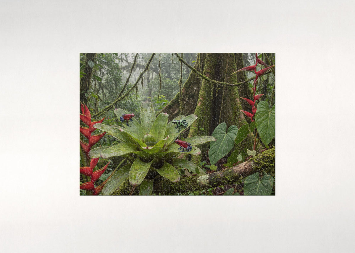 Poison Dart Frogs of the Rainforest jigsaw puzzle - flat puzzle