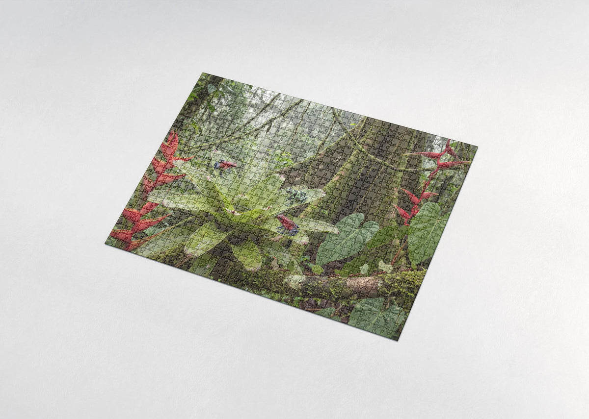 Poison Dart Frogs of the Rainforest jigsaw puzzle - assembled puzzle