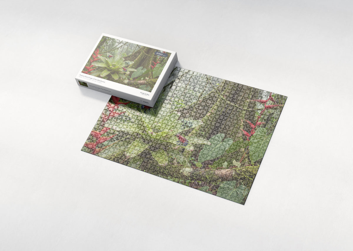 Poison Dart Frogs of the Rainforest jigsaw puzzle - box and puzzle