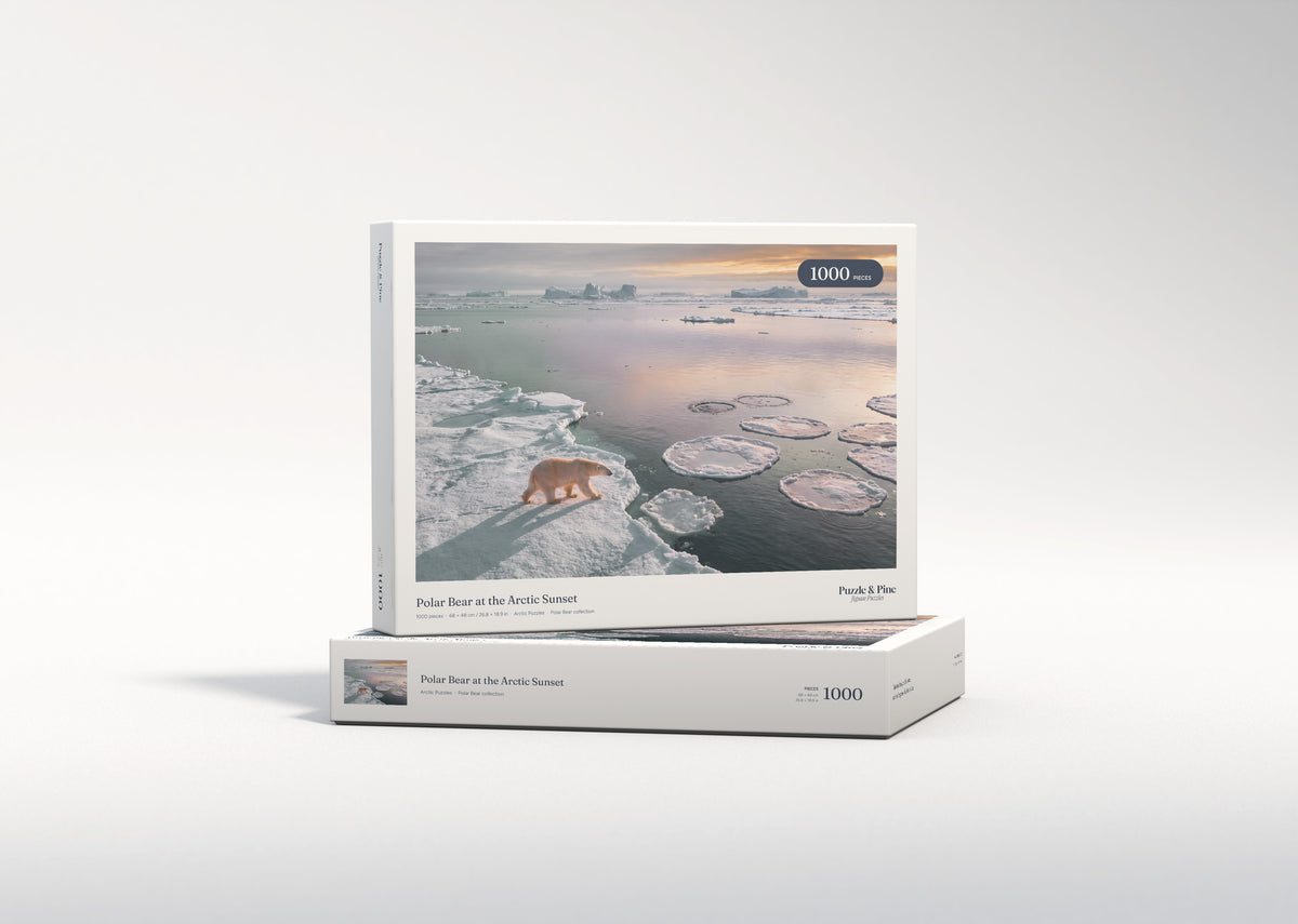 Polar Bear at the Arctic Sunset jigsaw puzzle - gift box