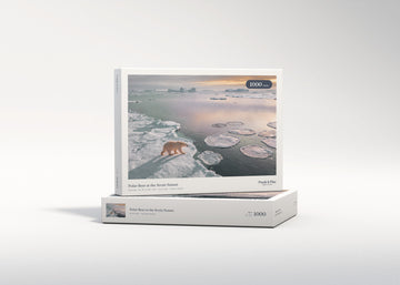 Polar Bear at the Arctic Sunset jigsaw puzzle - gift box