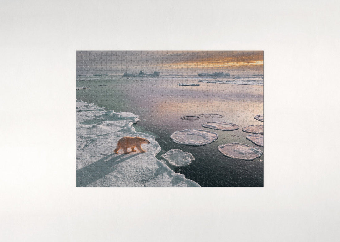 Polar Bear at the Arctic Sunset jigsaw puzzle - gift box