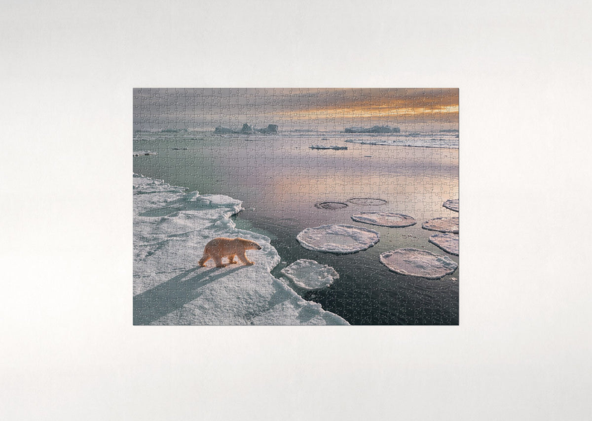 Polar Bear at the Arctic Sunset jigsaw puzzle - flat puzzle