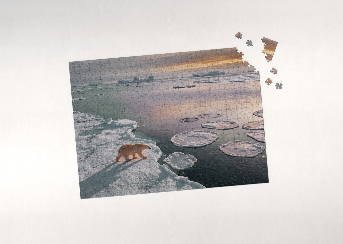 Polar Bear at the Arctic Sunset jigsaw puzzle - puzzle with loose pieces