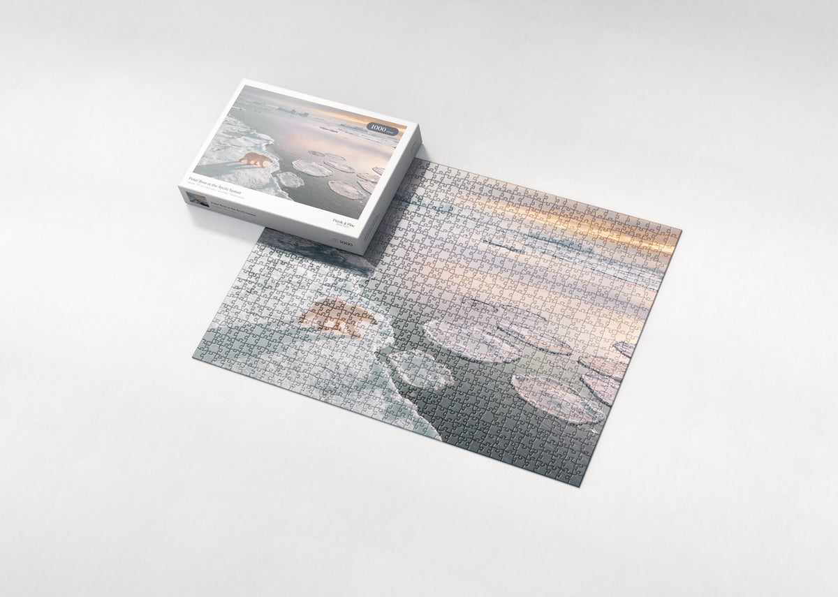 Polar Bear at the Arctic Sunset jigsaw puzzle - box and puzzle