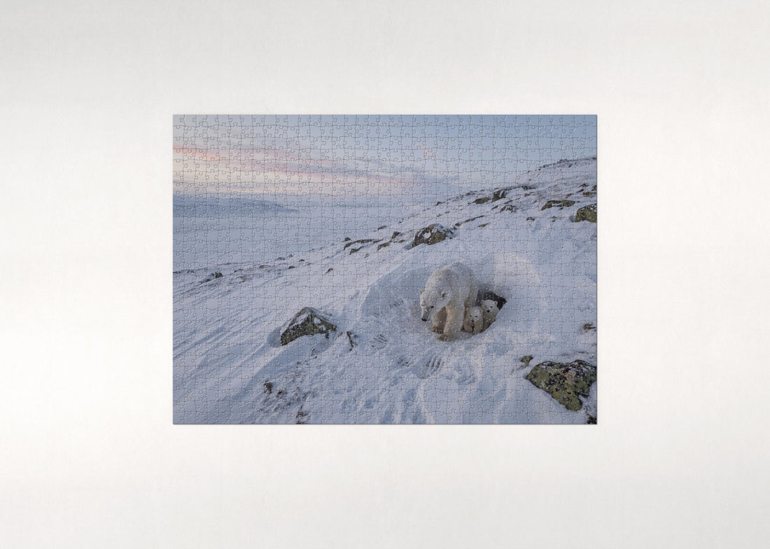 Polar Bear Family at the Den jigsaw puzzle - gift box