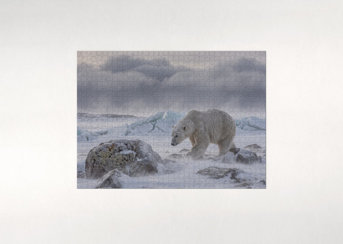 Polar Bear in the Snowstorm jigsaw puzzle - gift box