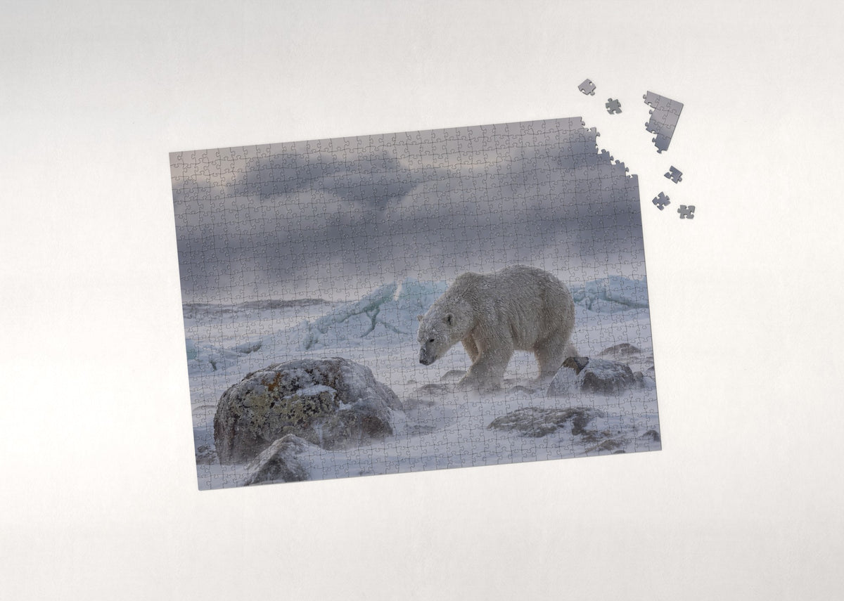 Polar Bear in the Snowstorm jigsaw puzzle - puzzle with loose pieces