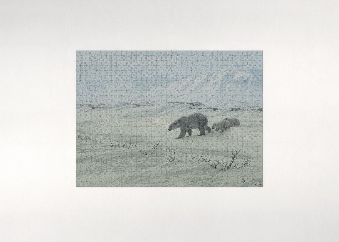 Polar Bear Mother and Cubs in the Snow jigsaw puzzle - gift box
