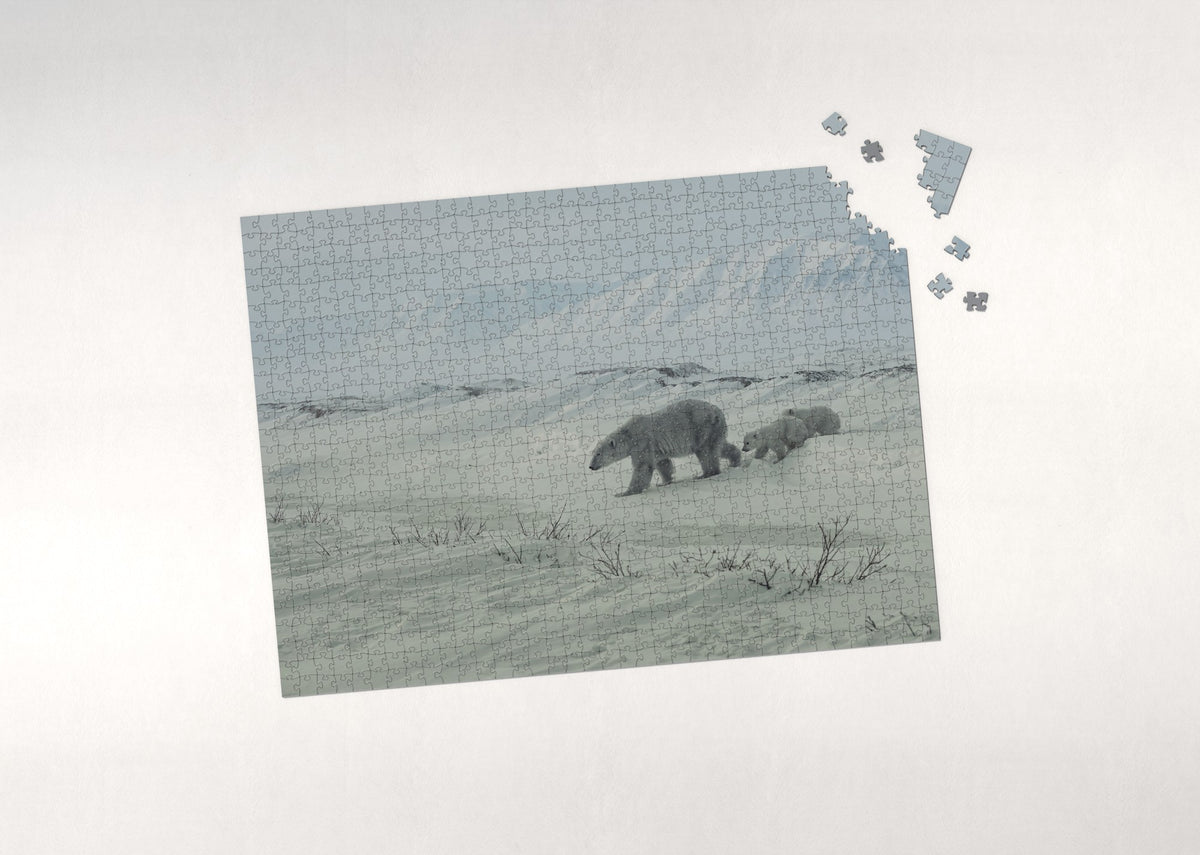 Polar Bear Mother and Cubs in the Snow jigsaw puzzle - puzzle with loose pieces