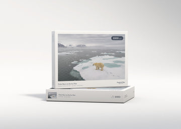 Polar Bear on the Ice Floe jigsaw puzzle - gift box