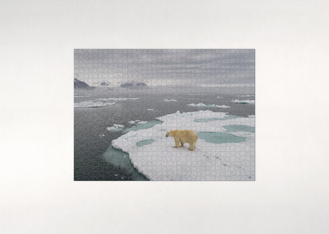 Polar Bear on the Ice Floe jigsaw puzzle - gift box