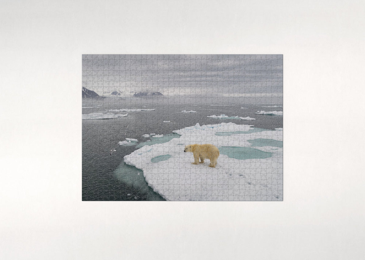 Polar Bear on the Ice Floe jigsaw puzzle - flat puzzle