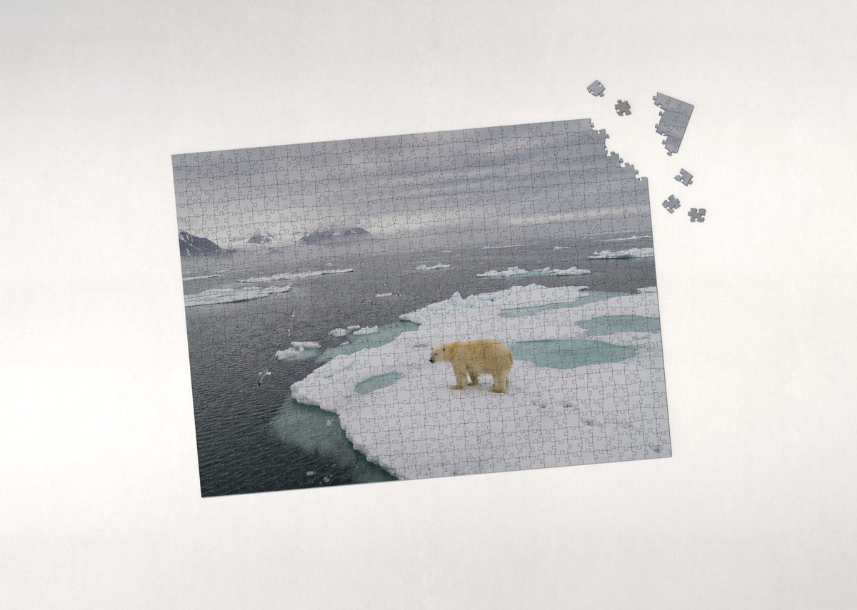 Polar Bear on the Ice Floe jigsaw puzzle - puzzle with loose pieces