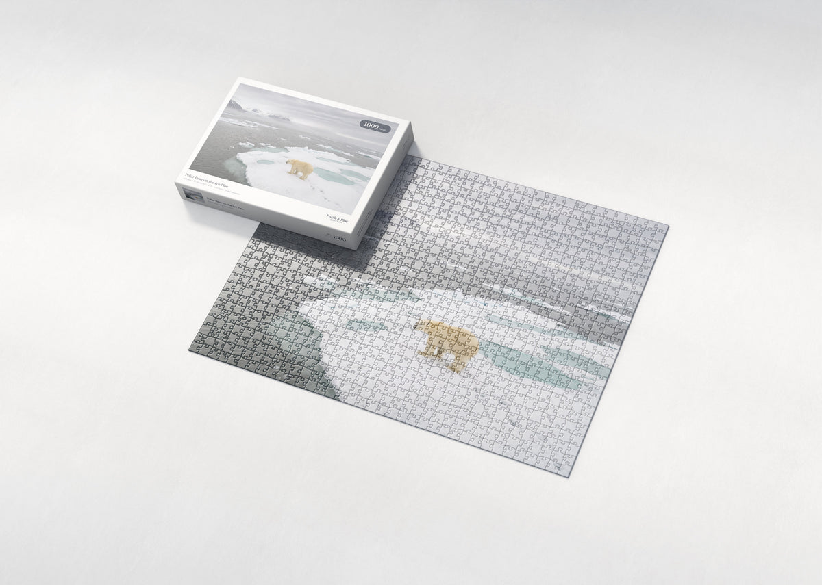 Polar Bear on the Ice Floe jigsaw puzzle - box and puzzle