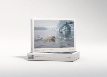 Polar Bear Swimming Among the Icebergs jigsaw puzzle - gift box