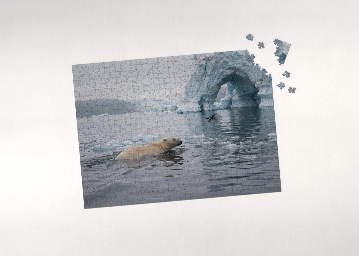 Polar Bear Swimming Among the Icebergs jigsaw puzzle - puzzle with loose pieces
