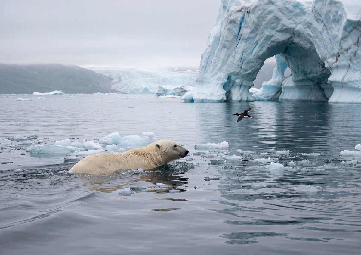 Polar Bear Swimming Among the Icebergs jigsaw puzzle