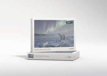 Polar Bear Under the Northern Lights jigsaw puzzle - gift box