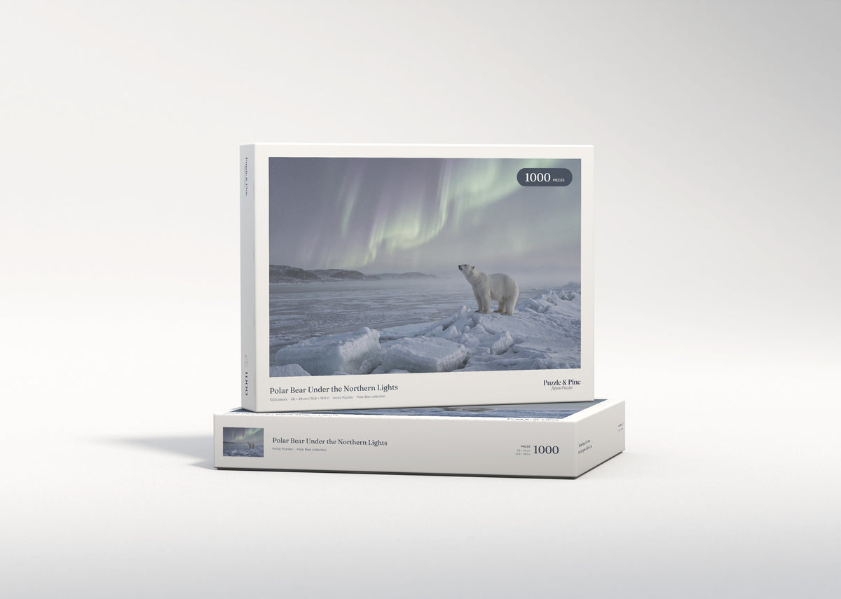 Polar Bear Under the Northern Lights jigsaw puzzle - gift box
