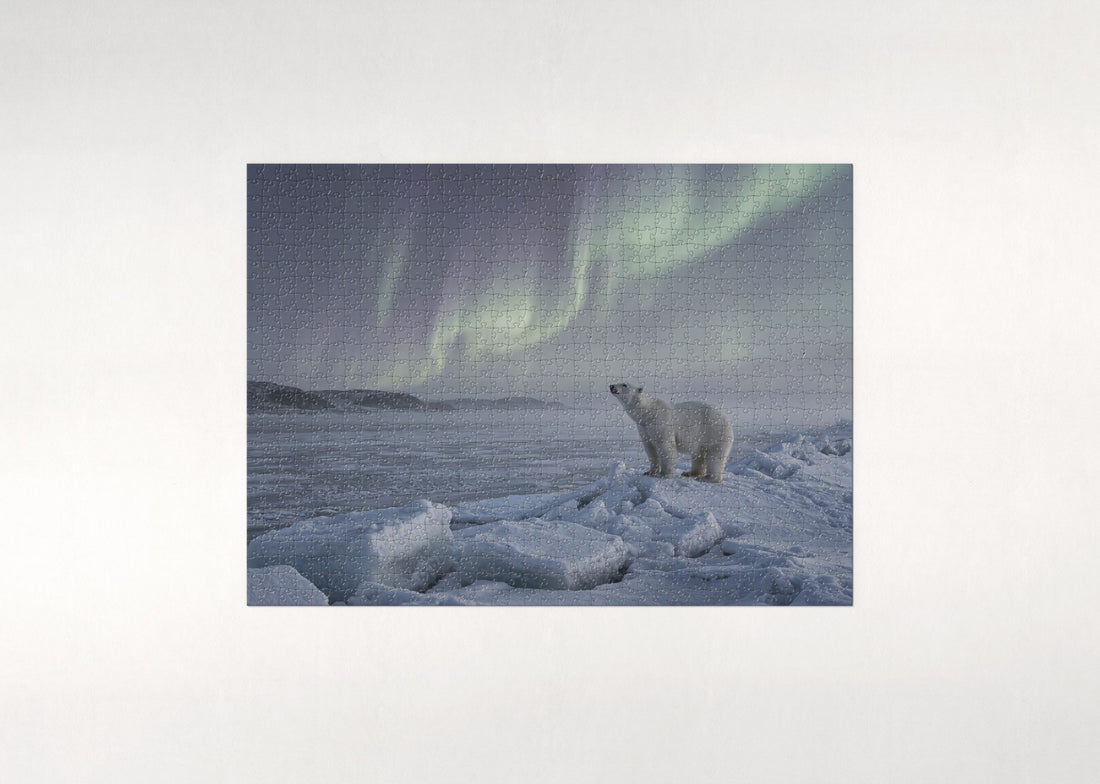 Polar Bear Under the Northern Lights jigsaw puzzle - gift box