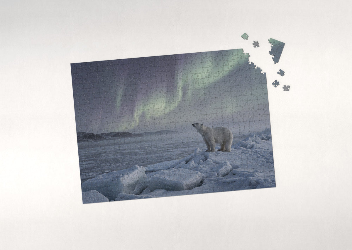 Polar Bear Under the Northern Lights jigsaw puzzle - puzzle with loose pieces