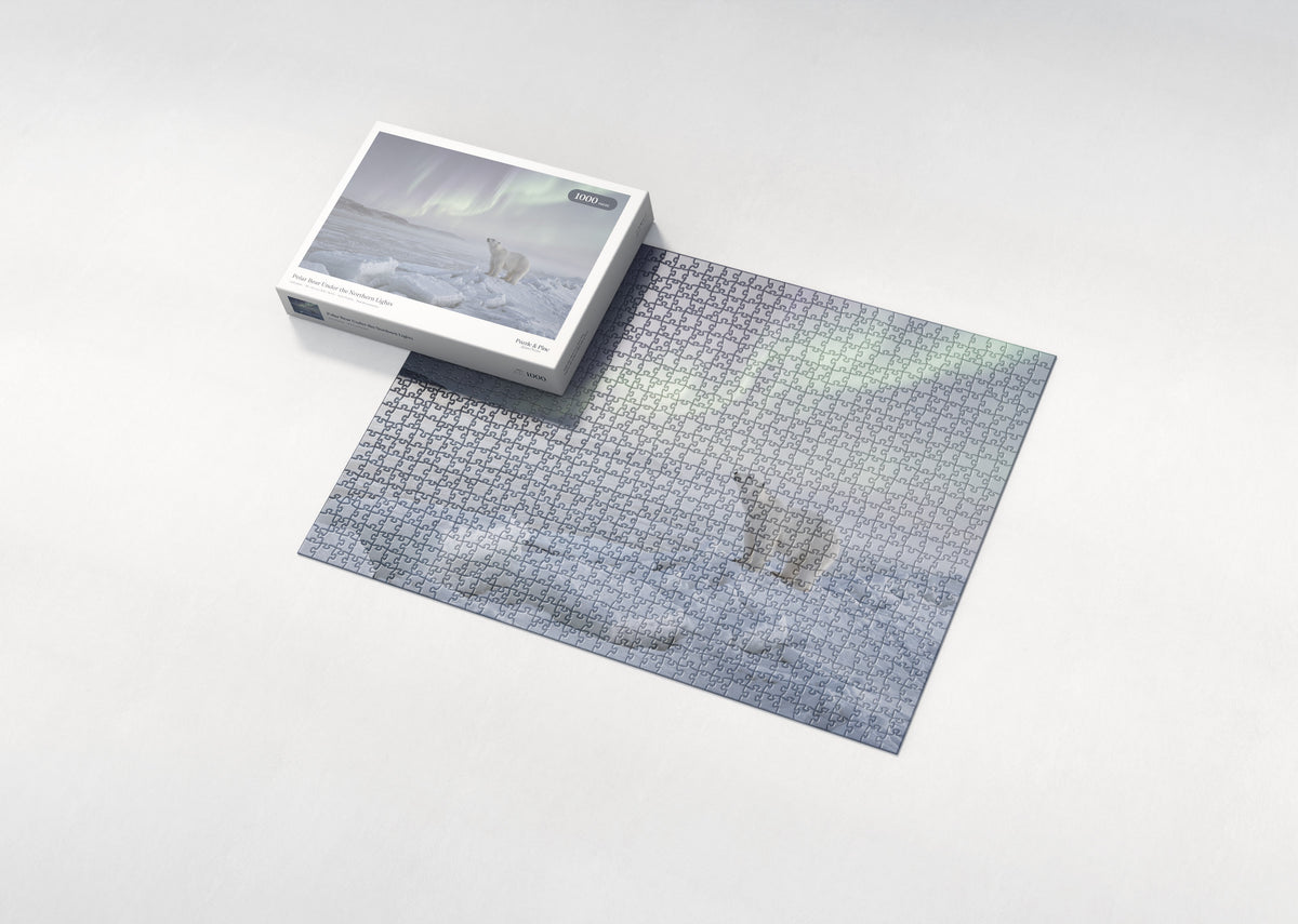 Polar Bear Under the Northern Lights jigsaw puzzle - box and puzzle