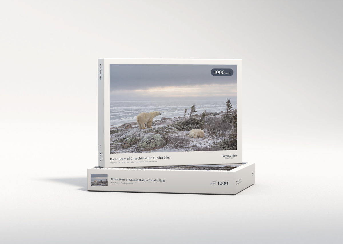 Polar Bears of Churchill at the Tundra Edge jigsaw puzzle - gift box