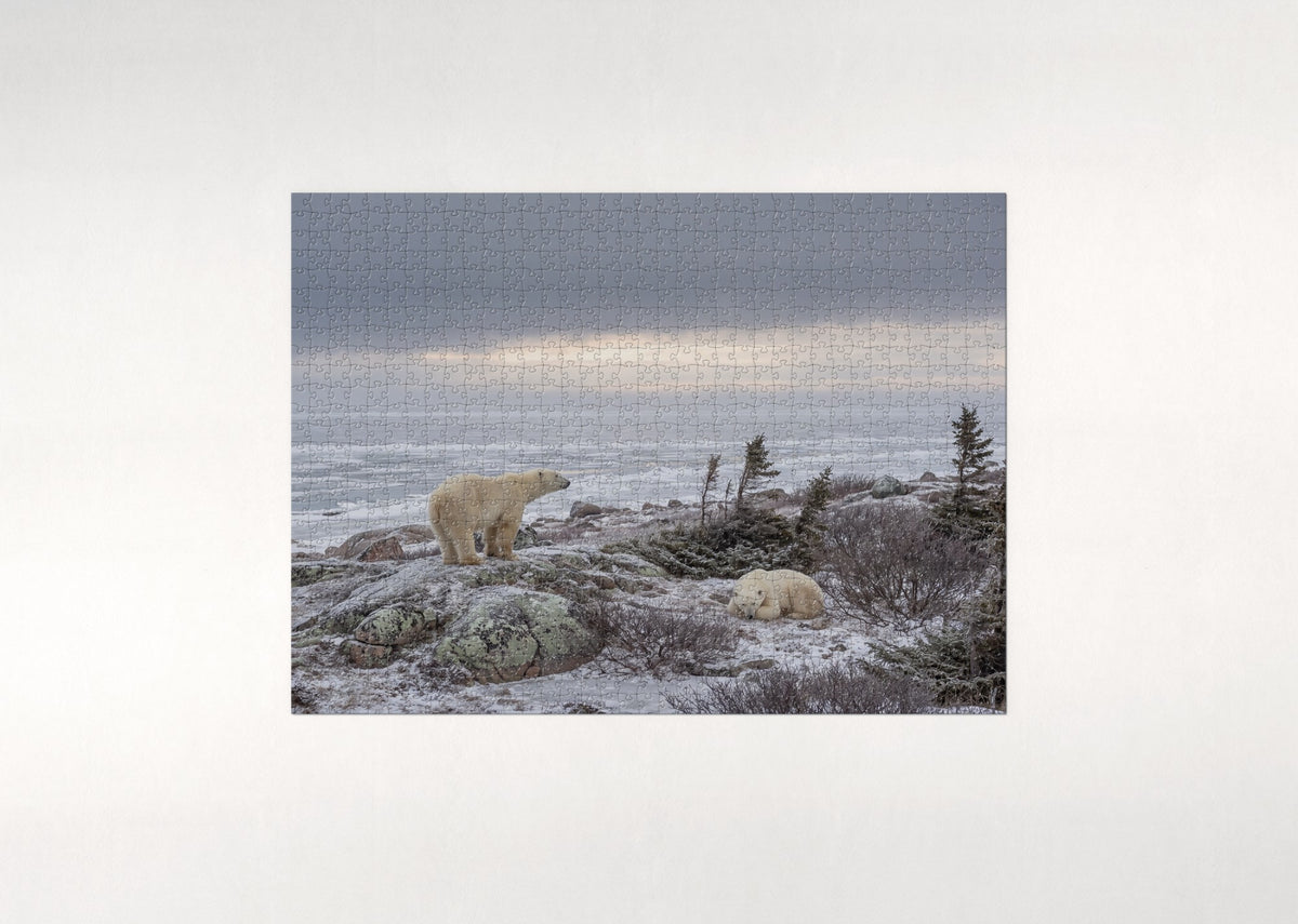 Polar Bears of Churchill at the Tundra Edge jigsaw puzzle - flat puzzle