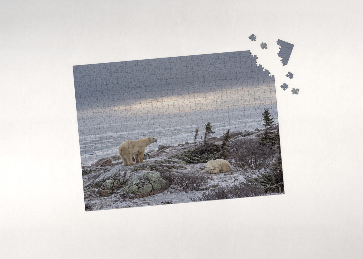 Polar Bears of Churchill at the Tundra Edge jigsaw puzzle - puzzle with loose pieces