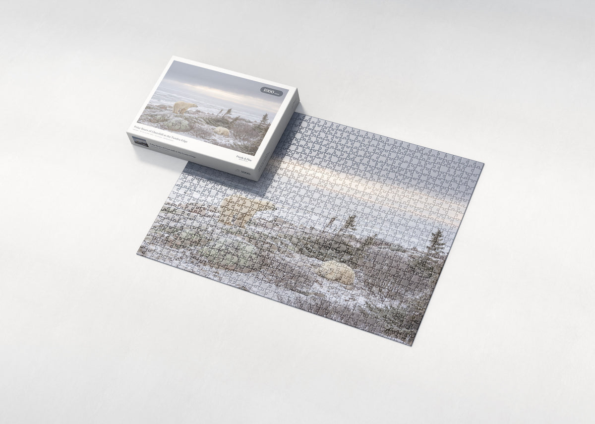 Polar Bears of Churchill at the Tundra Edge jigsaw puzzle - box and puzzle