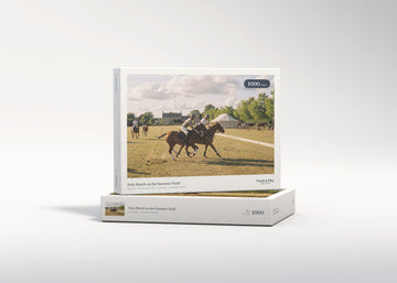 Polo Match on the Summer Field jigsaw puzzle - gift box