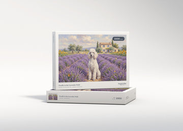 Poodle in the Lavender Field jigsaw puzzle - gift box