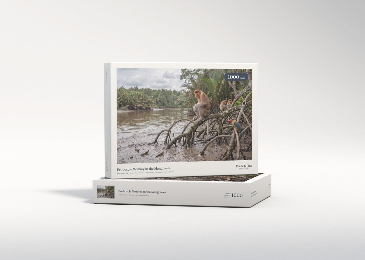 Proboscis Monkey in the Mangroves jigsaw puzzle - gift box