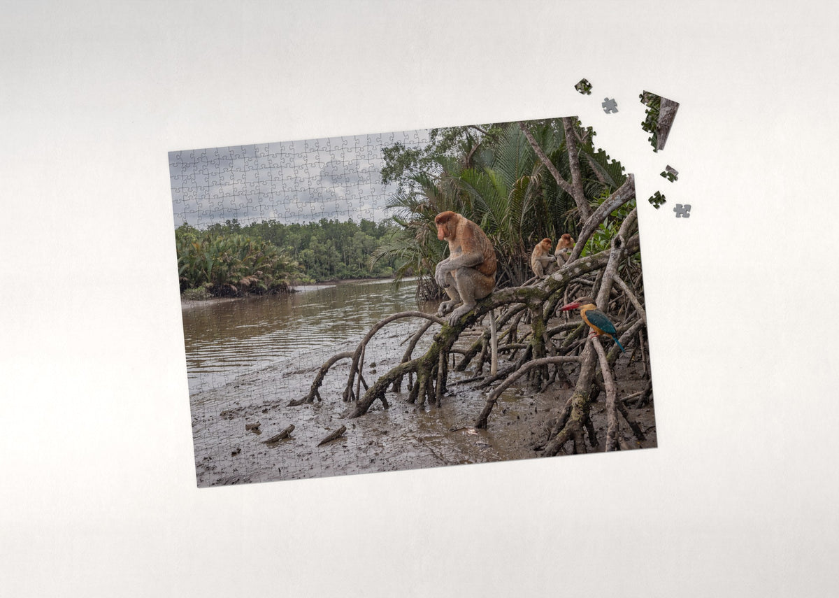 Proboscis Monkey in the Mangroves jigsaw puzzle - puzzle with loose pieces