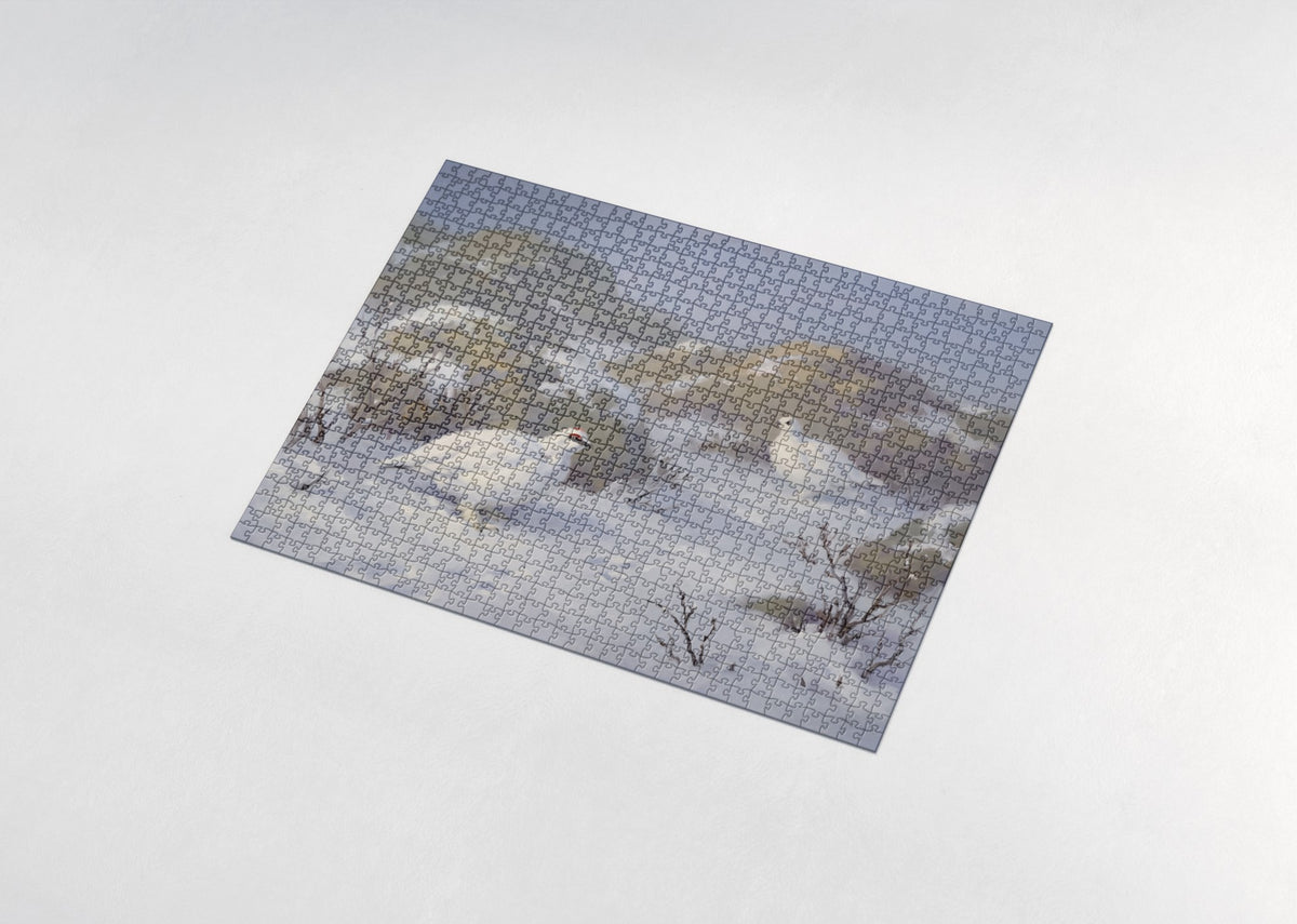 Ptarmigan in the Snow jigsaw puzzle - assembled puzzle
