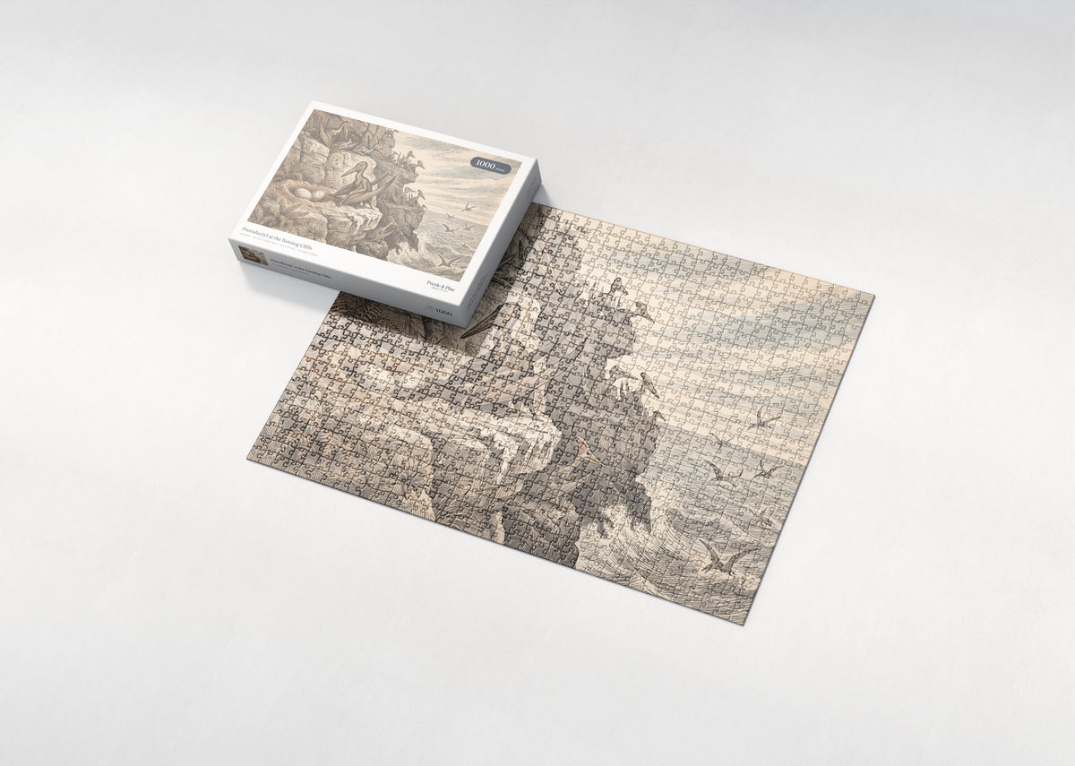Pterodactyl at the Nesting Cliffs jigsaw puzzle - box and puzzle