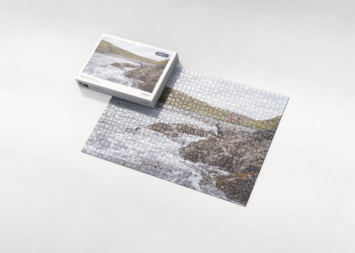 Puffin at the Rocky Cove jigsaw puzzle - box and puzzle