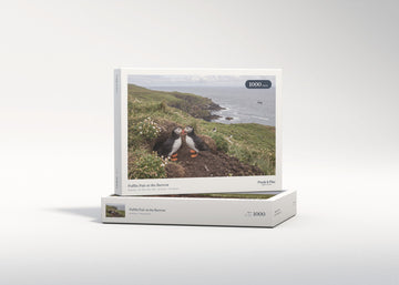 Puffin Pair at the Burrow jigsaw puzzle - gift box