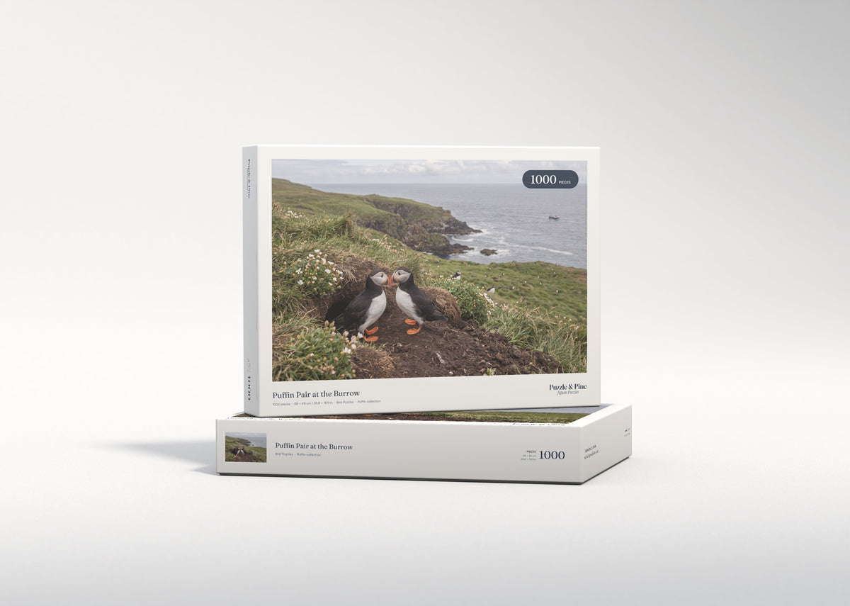 Puffin Pair at the Burrow jigsaw puzzle - gift box