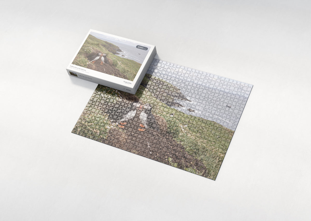 Puffin Pair at the Burrow jigsaw puzzle - box and puzzle