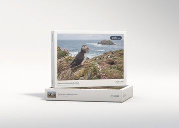 Puffin with a Beak Full of Fish jigsaw puzzle - gift box